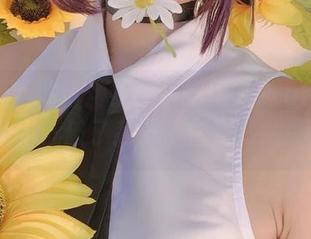 最新图集解析:如月灰眼里的PlatinumARK,打破了我对“普通”的期待…