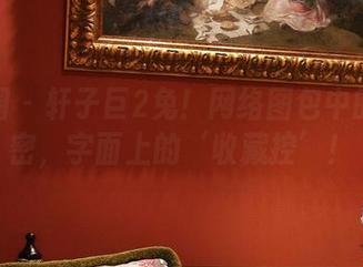 微密圈 - 轩子巨2兔！网络图包中的小秘密，字面上的‘收藏控’！